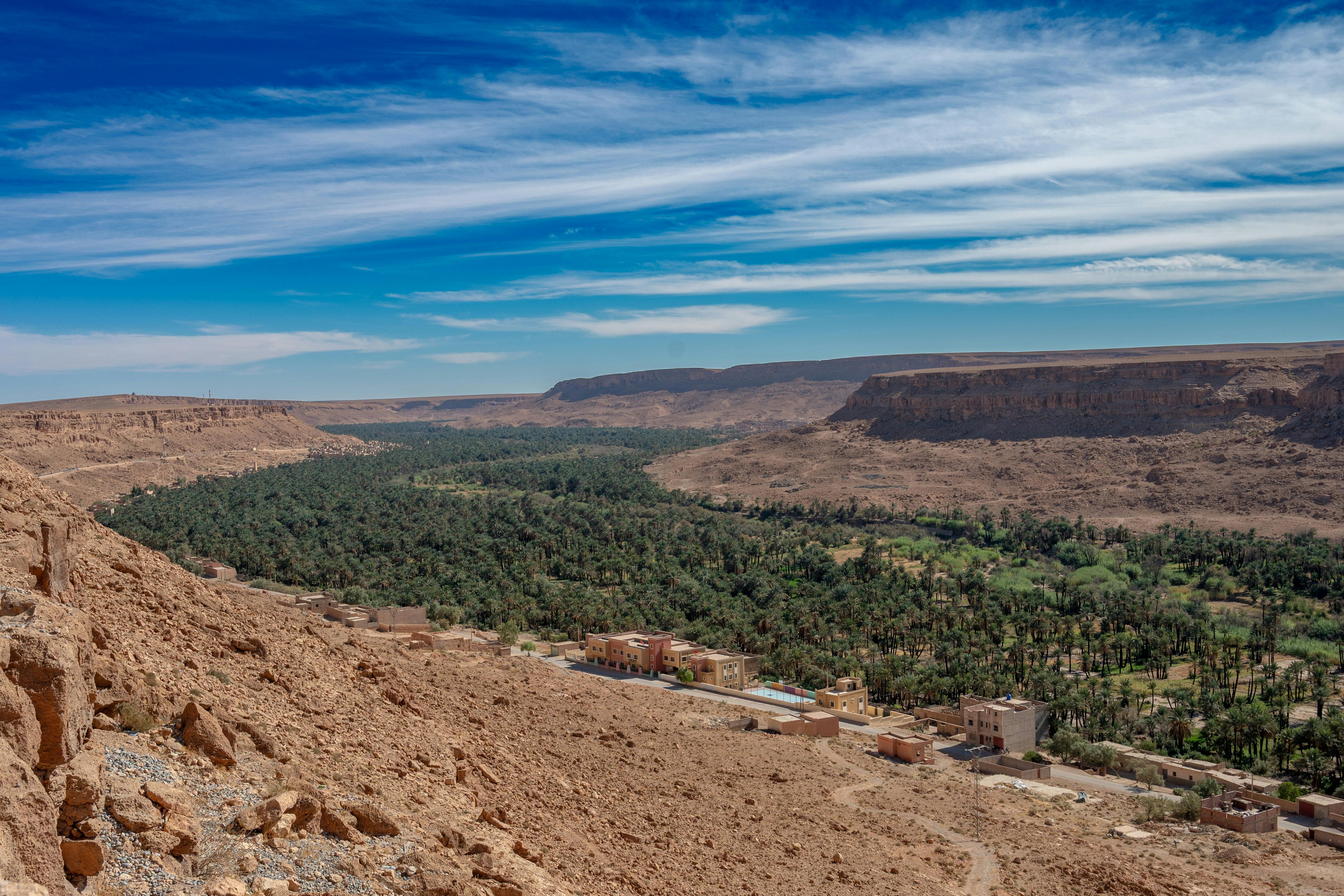 Ziz Valley palmery, southern Morocco
